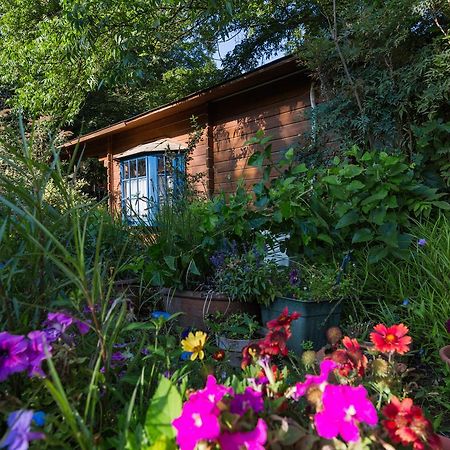 Lavenderin Lodges Ramot Naftali Dış mekan fotoğraf