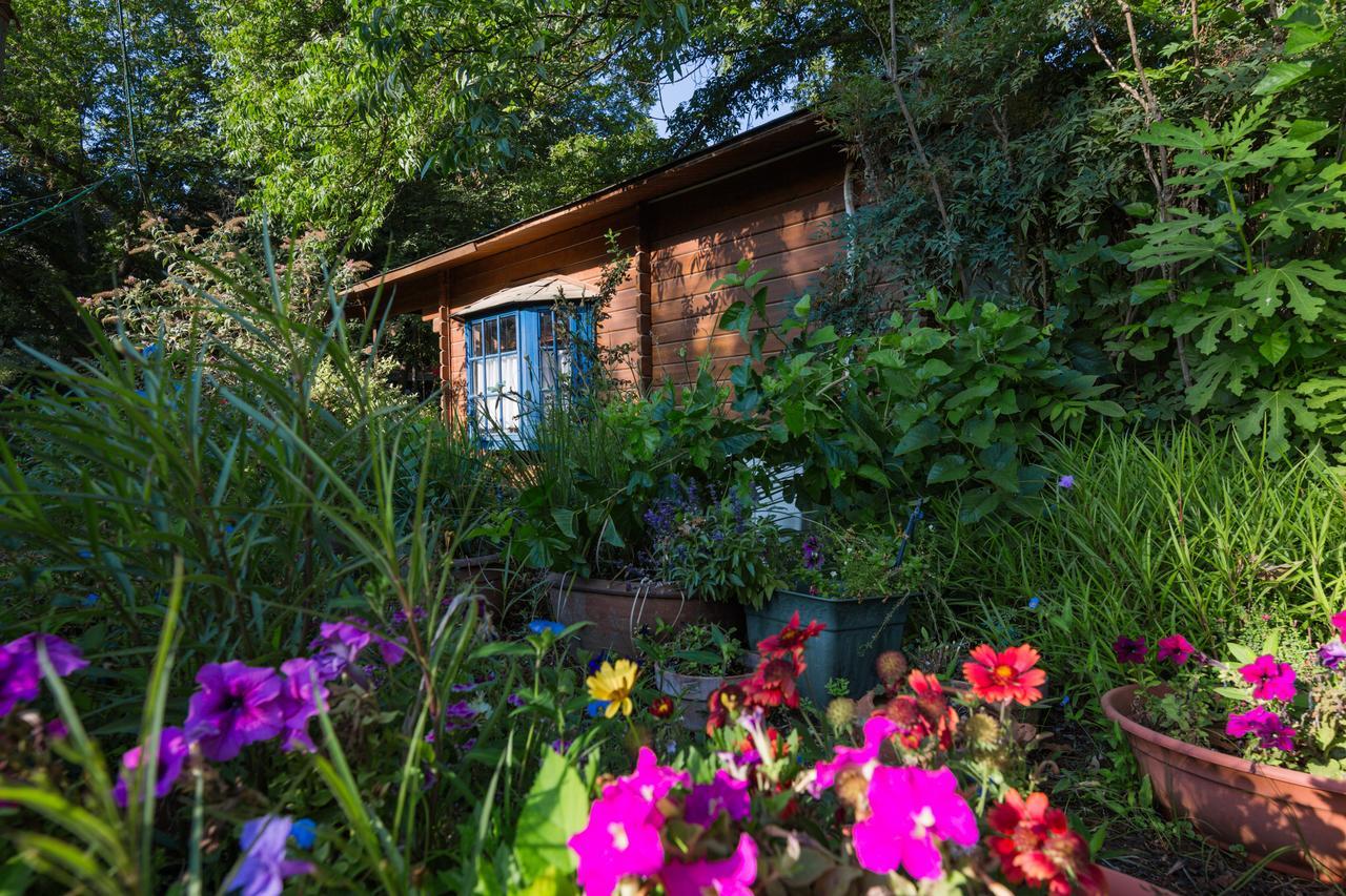 Lavenderin Lodges Ramot Naftali Dış mekan fotoğraf