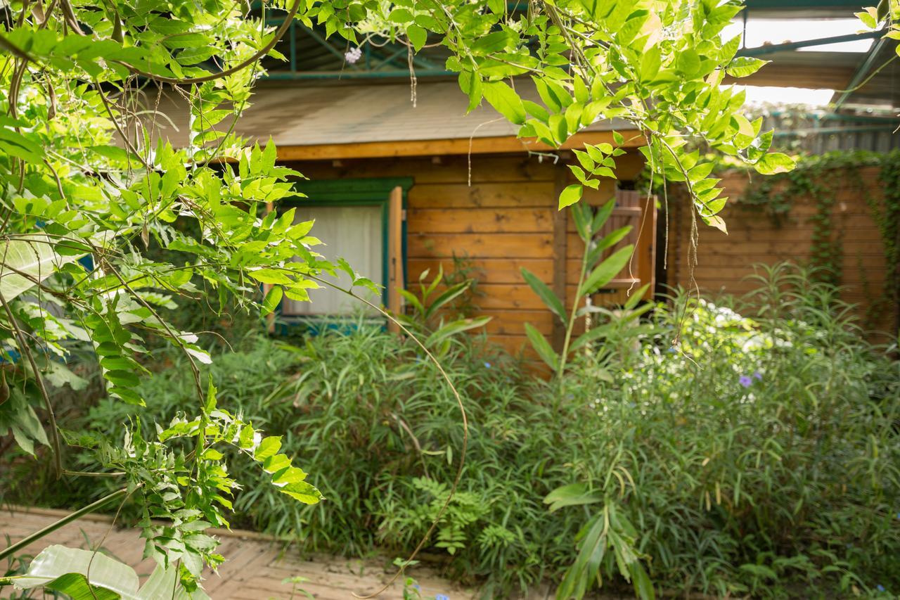 Lavenderin Lodges Ramot Naftali Dış mekan fotoğraf